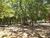 Fazenda, 50 m² - Foto 1