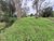 Sítio, 2 quartos, 1 hectares - Foto 4