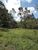 Sítio, 3 quartos, 6 hectares - Foto 1