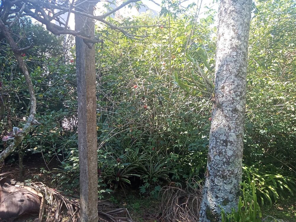 Sítio à venda com 2 quartos, 200m² - Foto 3