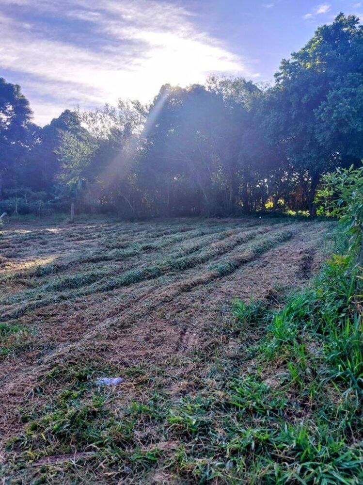 Terreno à venda, 595m² - Foto 2
