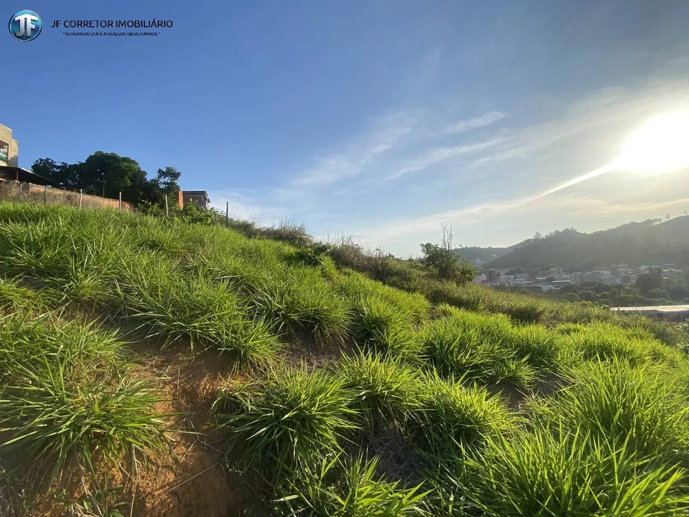 Terreno, 536 m² - Foto 5