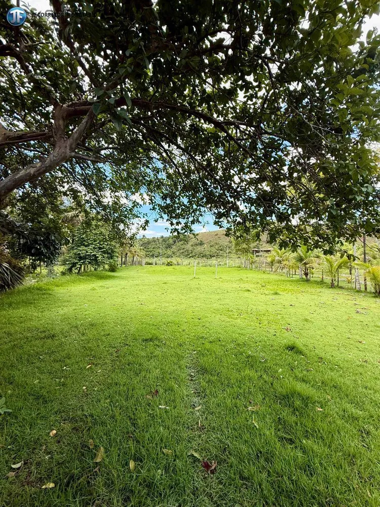 Chácara, 3 quartos, 4000 m² - Foto 4