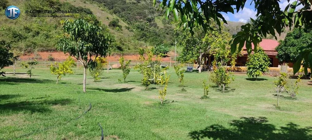 Fazenda à venda com 3 quartos, 3m² - Foto 3