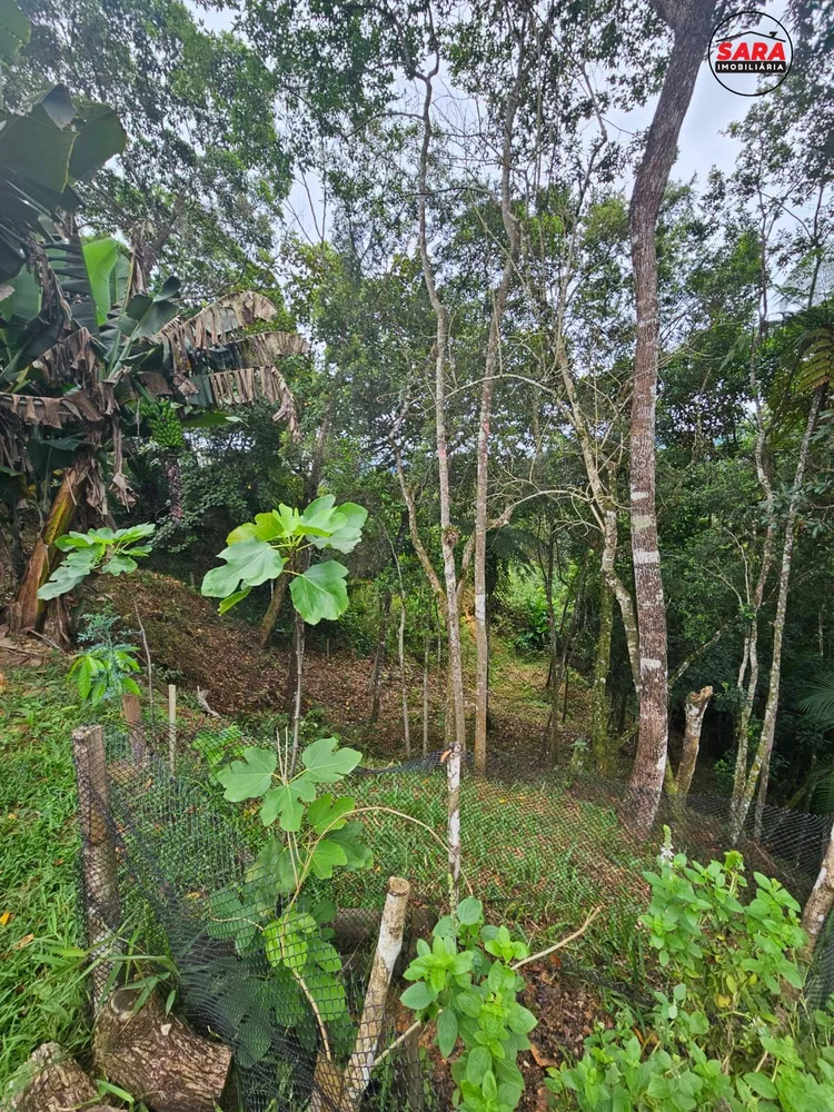 Chácara, 1 quarto, 2000 m² - Foto 3