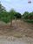 Terreno, 354 m² - Foto 3
