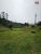 Fazenda, 3 hectares - Foto 3