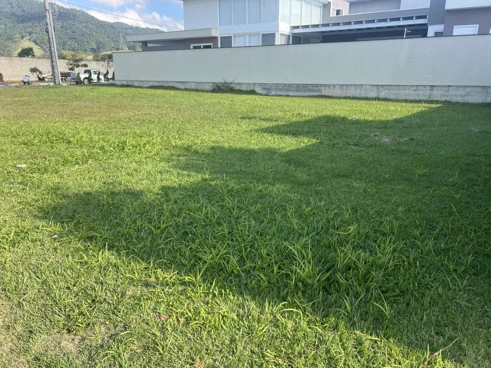 Terreno, 355 m² - Foto 3