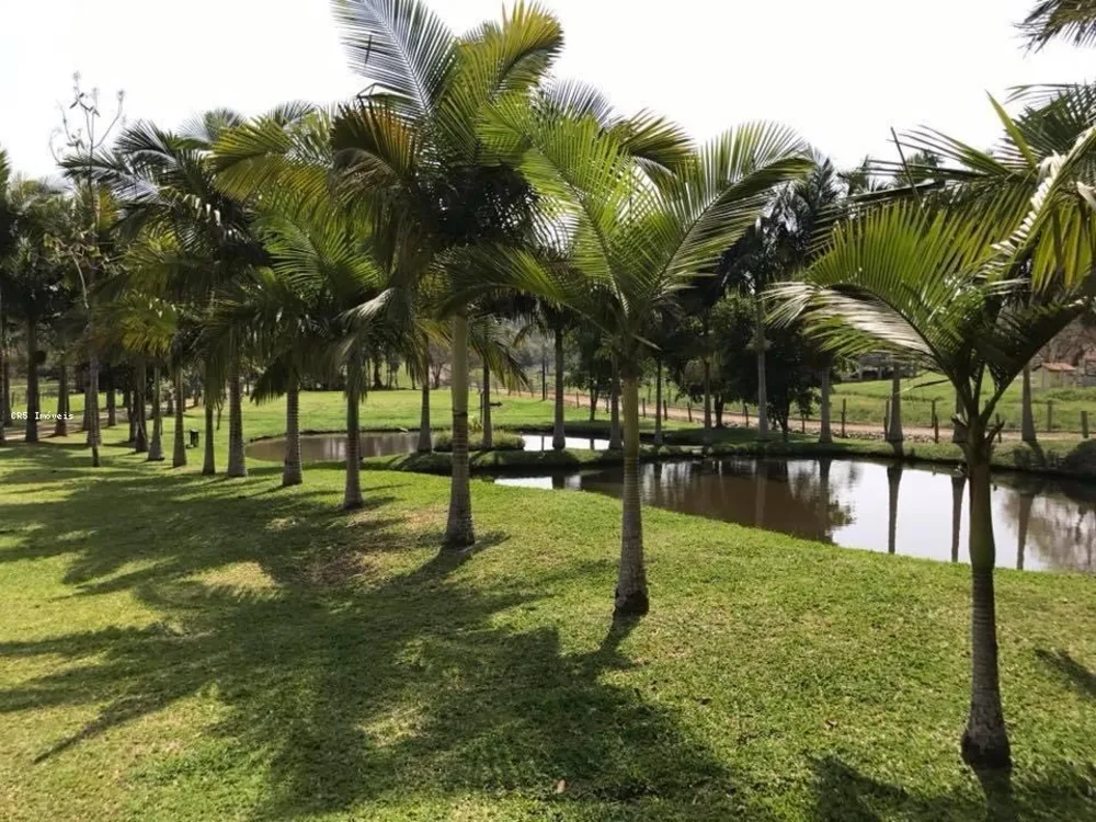 Chácara, 3 quartos, 2 hectares - Foto 6
