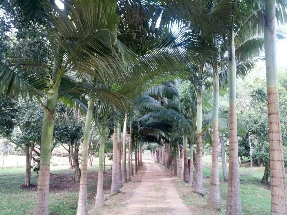 Chácara, 3 quartos, 2 hectares - Foto 3