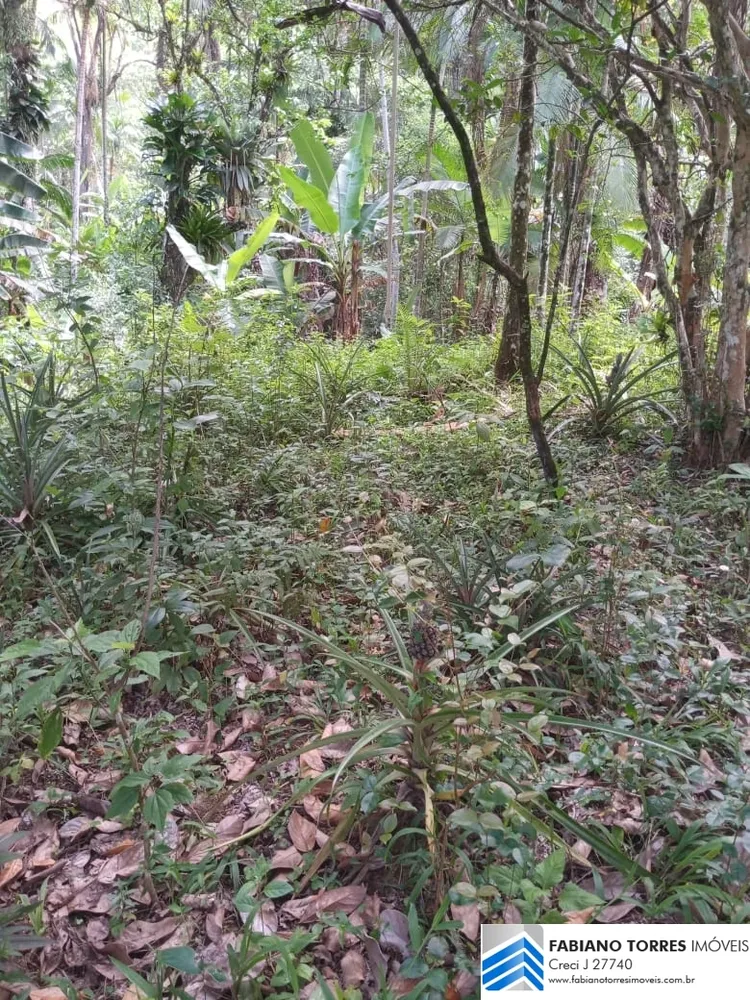 Sítio, 3 quartos, 4 hectares - Foto 8
