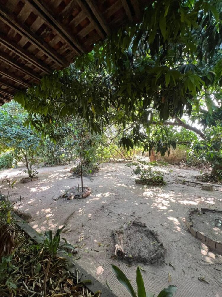 Sítio para alugar com 4 quartos, 3880m² - Foto 4