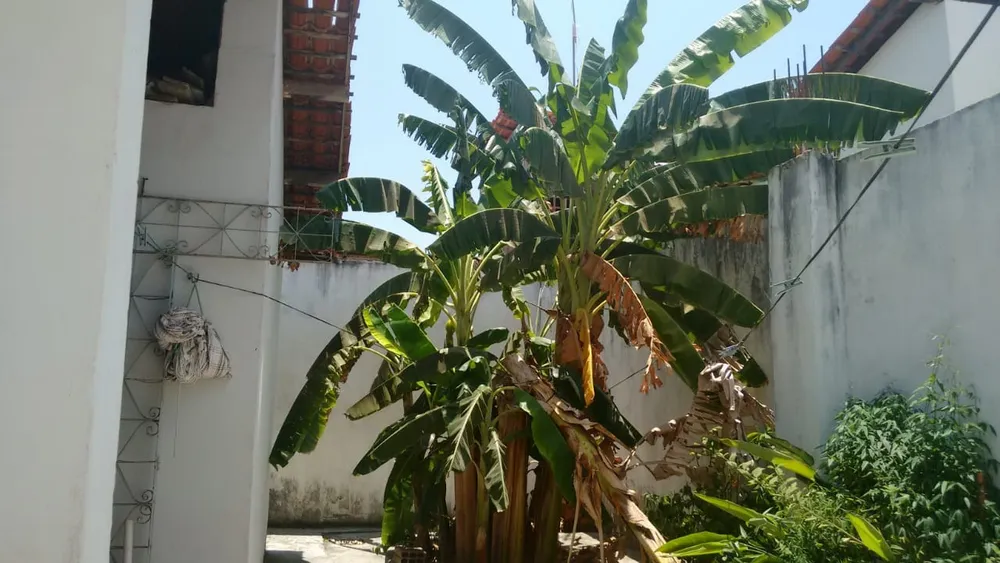Prédio Inteiro - Foto 16