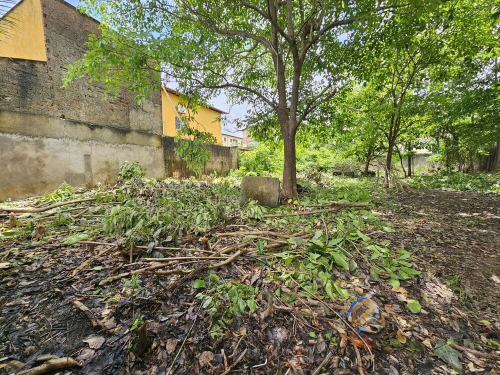 Terreno, 1000 m² - Foto 6