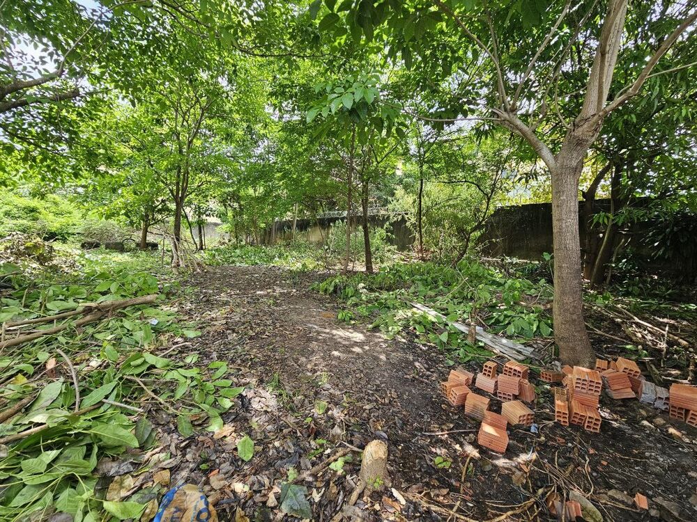 Terreno, 1000 m² - Foto 7