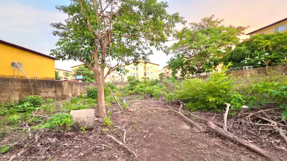 Terreno, 1000 m² - Foto 12