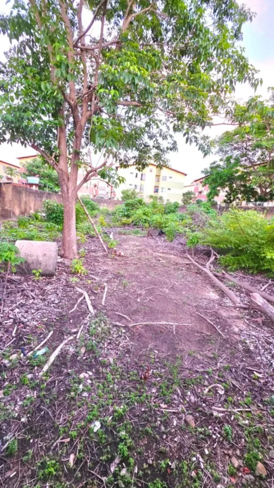 Terreno, 1000 m² - Foto 15