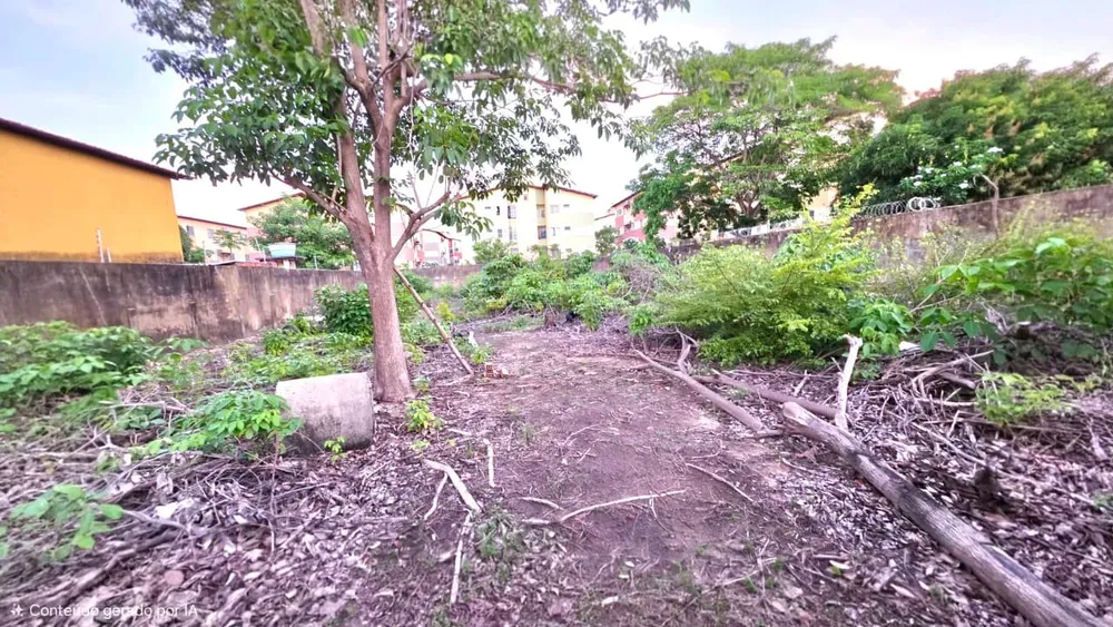 Terreno, 1000 m² - Foto 11