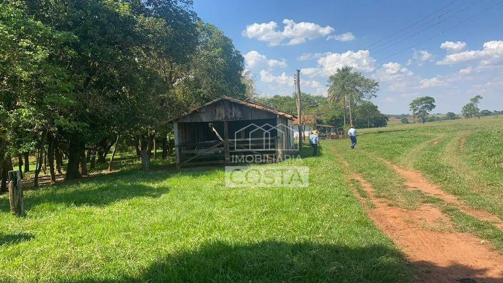 Fazenda, 491 hectares - Foto 11