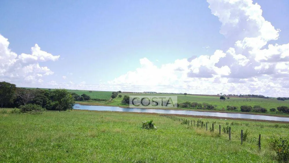 Fazenda, 491 hectares - Foto 6