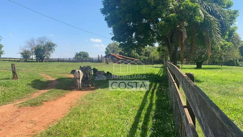 Fazenda, 491 hectares - Foto 10