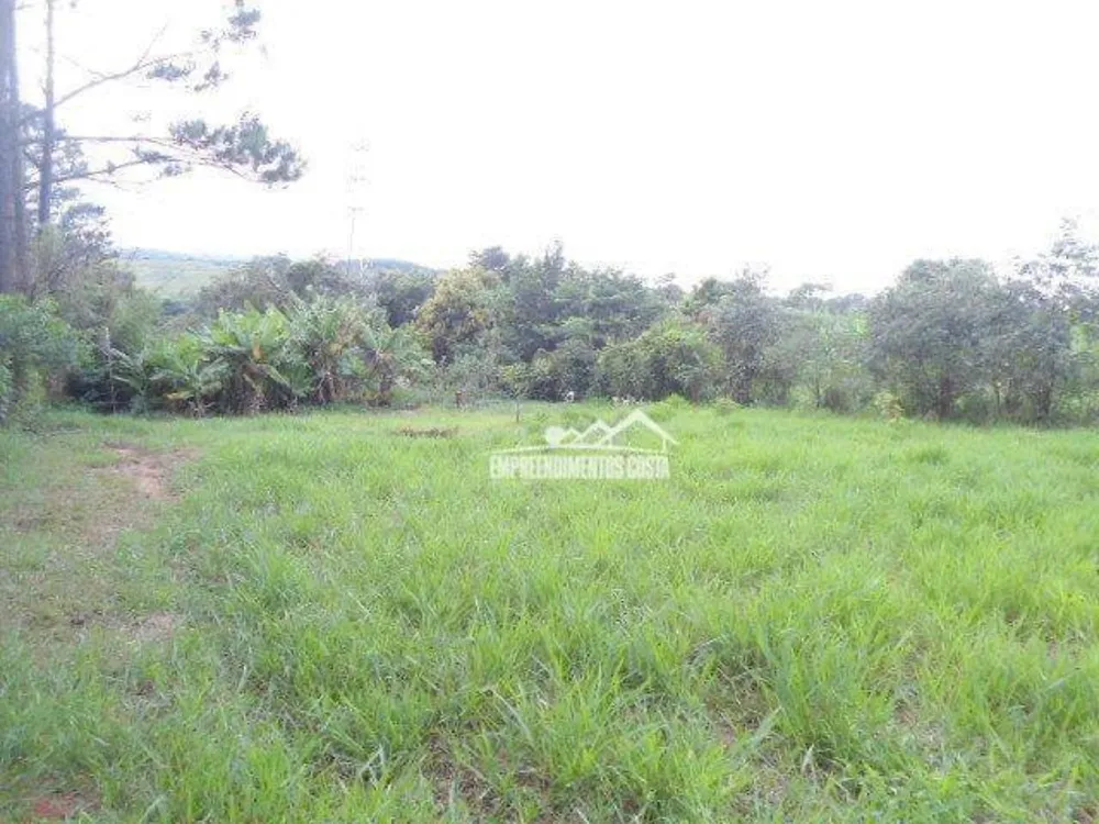 Terreno, 5343 m² - Foto 6