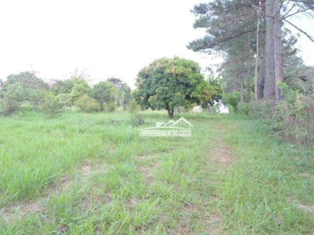 Terreno, 5343 m² - Foto 7