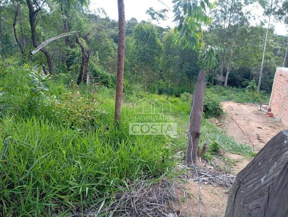 Terreno, 2 hectares - Foto 8