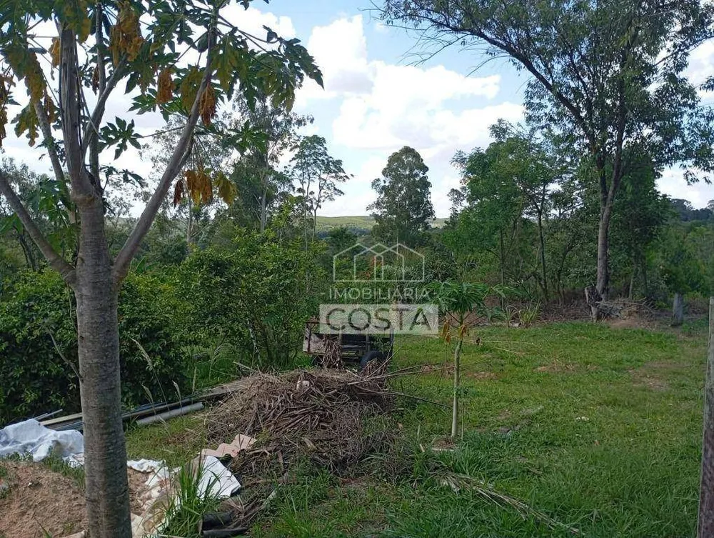 Terreno, 2 hectares - Foto 17