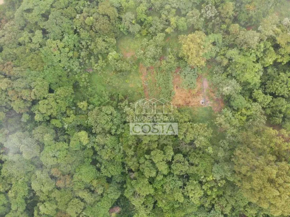 Terreno, 2 hectares - Foto 1