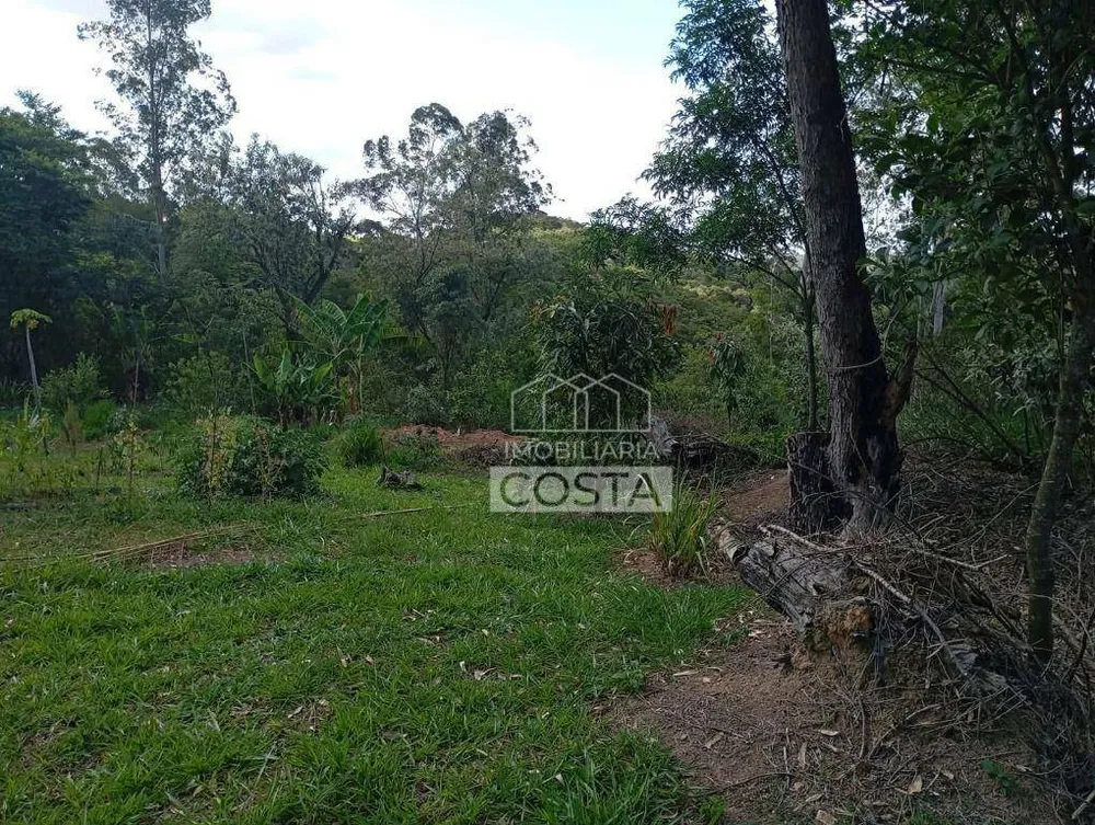 Terreno, 2 hectares - Foto 10