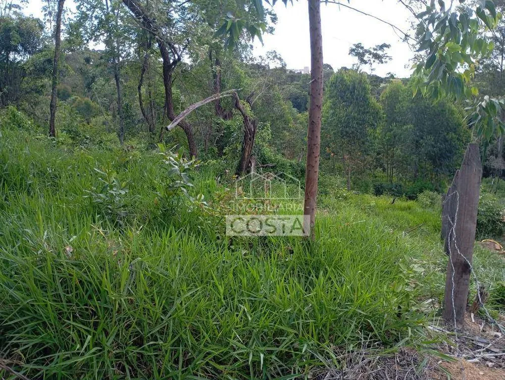 Terreno, 2 hectares - Foto 18