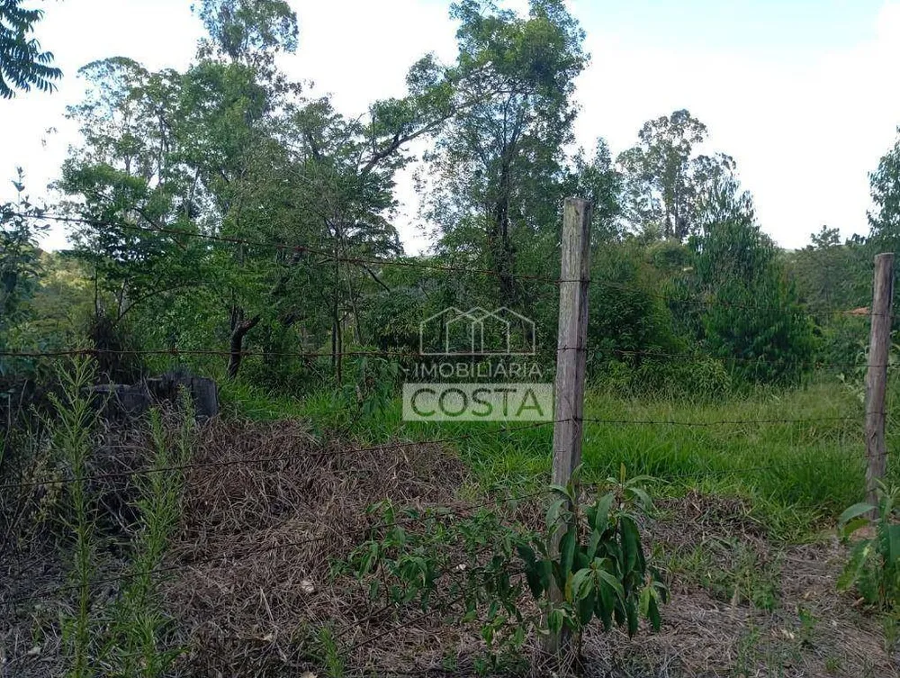 Terreno, 2 hectares - Foto 19