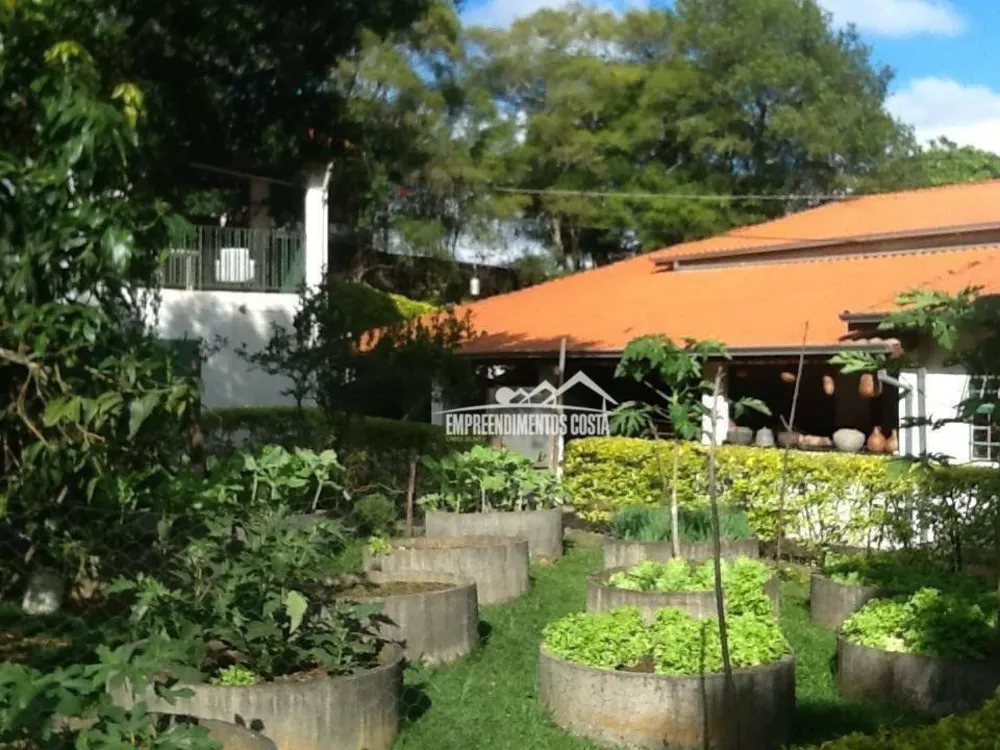Chácara, 3 quartos, 6 hectares - Foto 4
