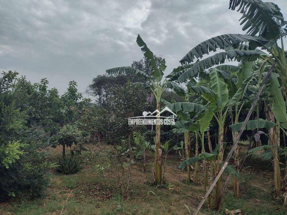 Terreno à venda, 1500M2 - Foto 8