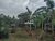 Terreno, 1500 m² - Foto 8