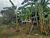 Terreno, 1500 m² - Foto 5