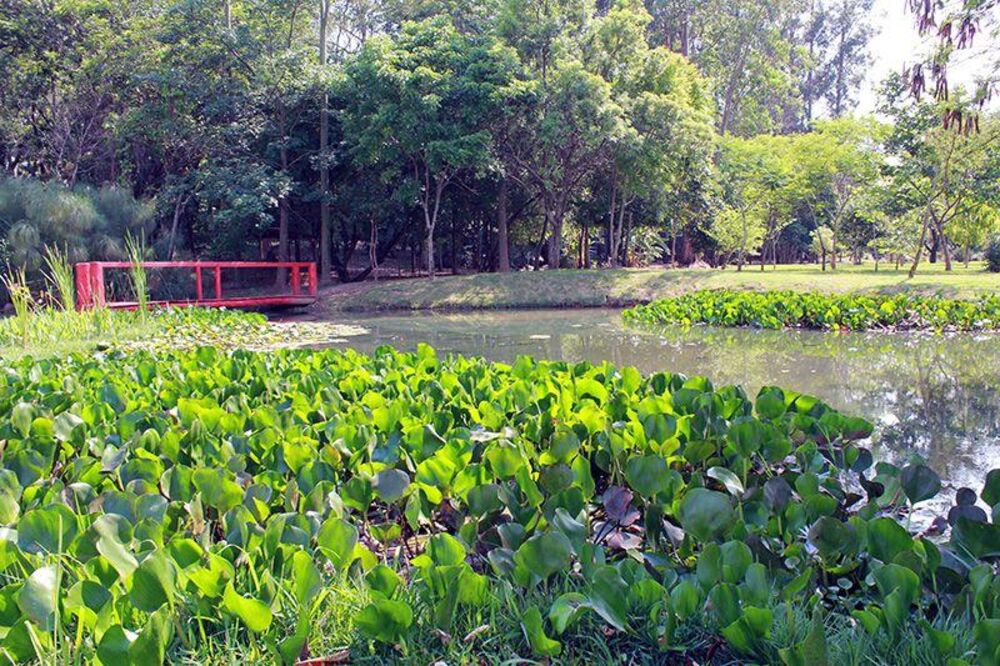 Loteamento e Condomínio, 4 m² - Foto 8