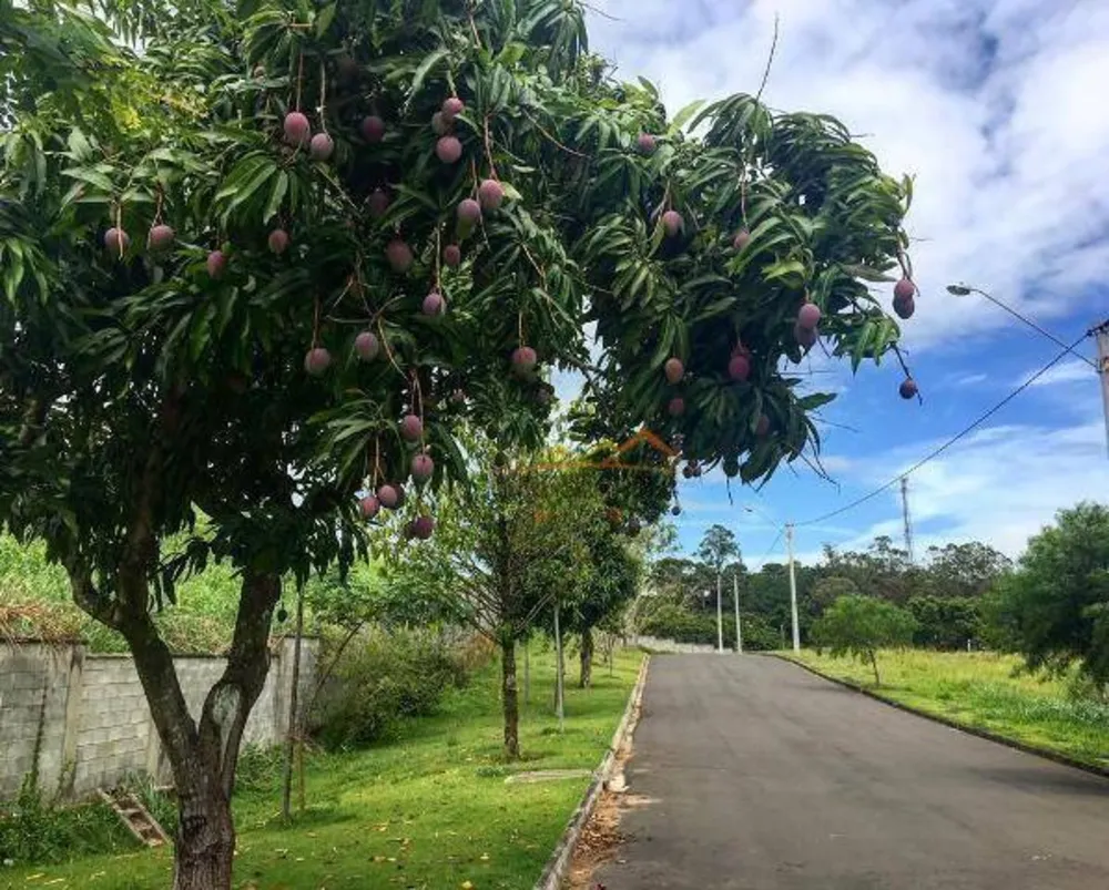 Loteamento e Condomínio, 1800 m² - Foto 6