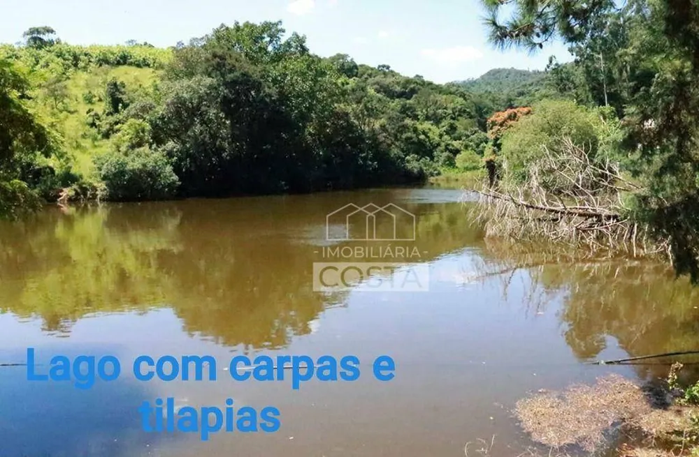 Chácara, 6 quartos, 1600 m² - Foto 12