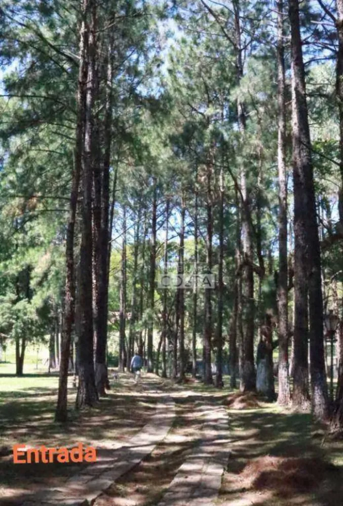 Chácara, 6 quartos, 1600 m² - Foto 7