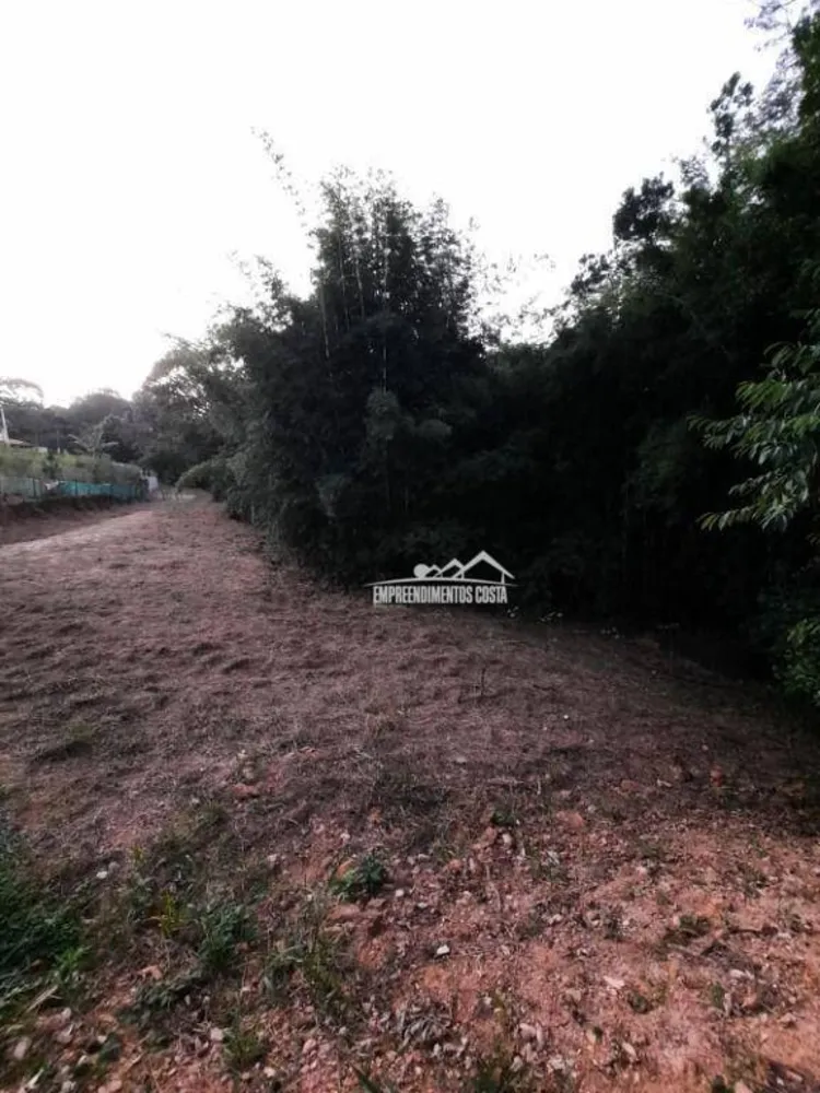 Chácara, 3 quartos, 2504 m² - Foto 10