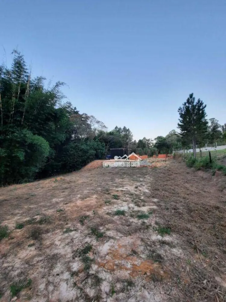 Chácara, 3 quartos, 2504 m² - Foto 14