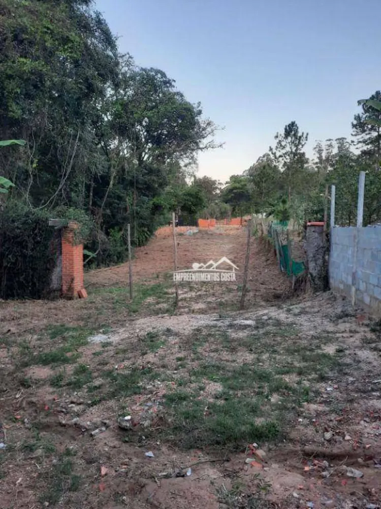 Chácara, 3 quartos, 2504 m² - Foto 12