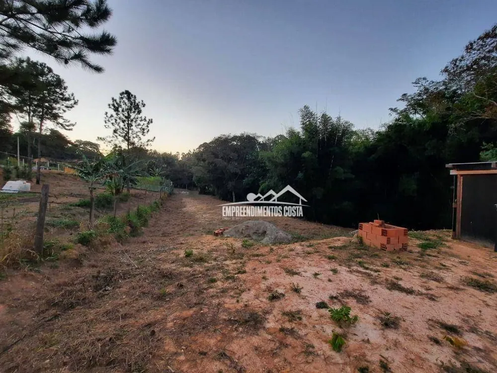 Chácara, 3 quartos, 2504 m² - Foto 8