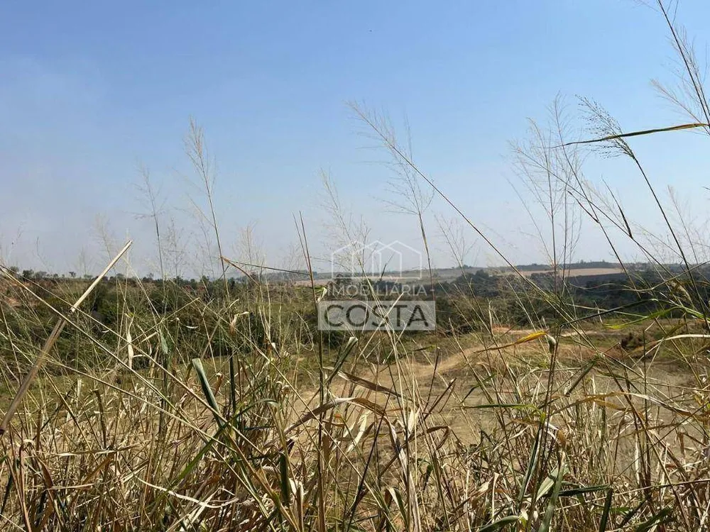 Terreno, 8 hectares - Foto 4