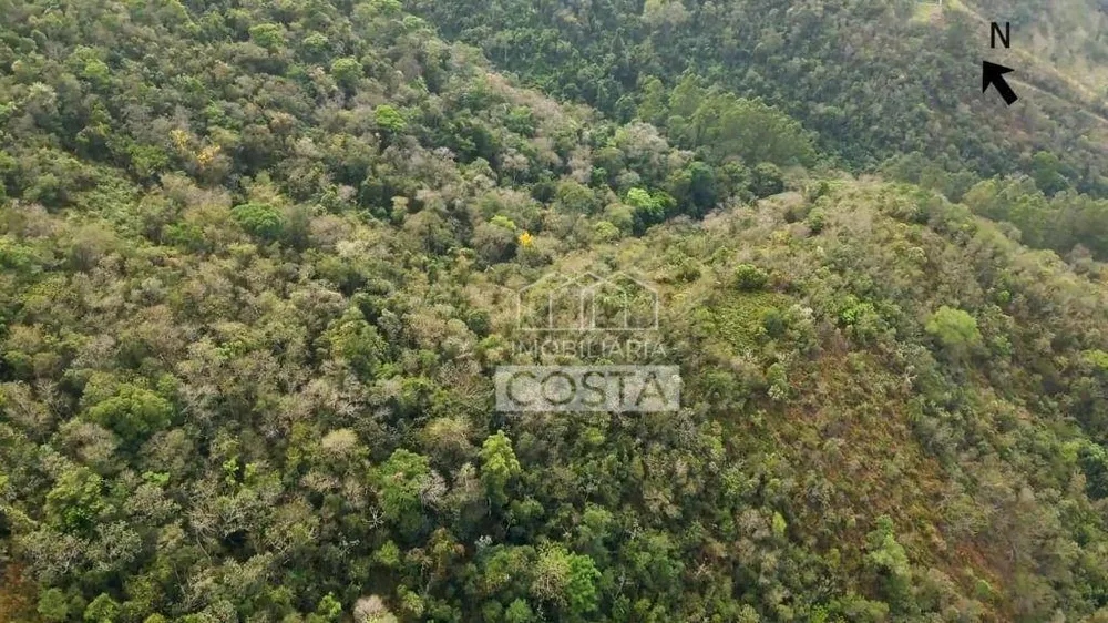 Terreno, 2 hectares - Foto 6