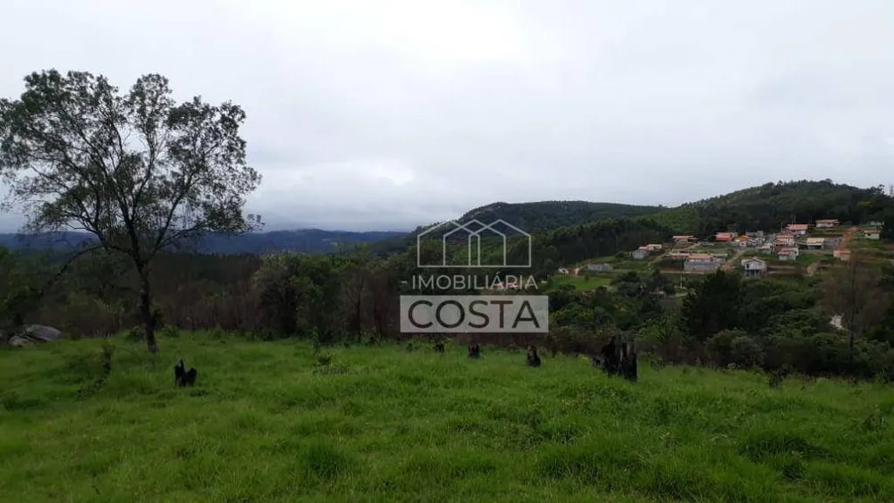 Terreno, 16 hectares - Foto 4