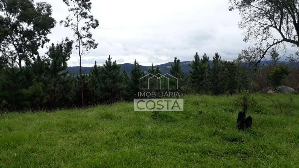 Terreno, 16 hectares - Foto 3