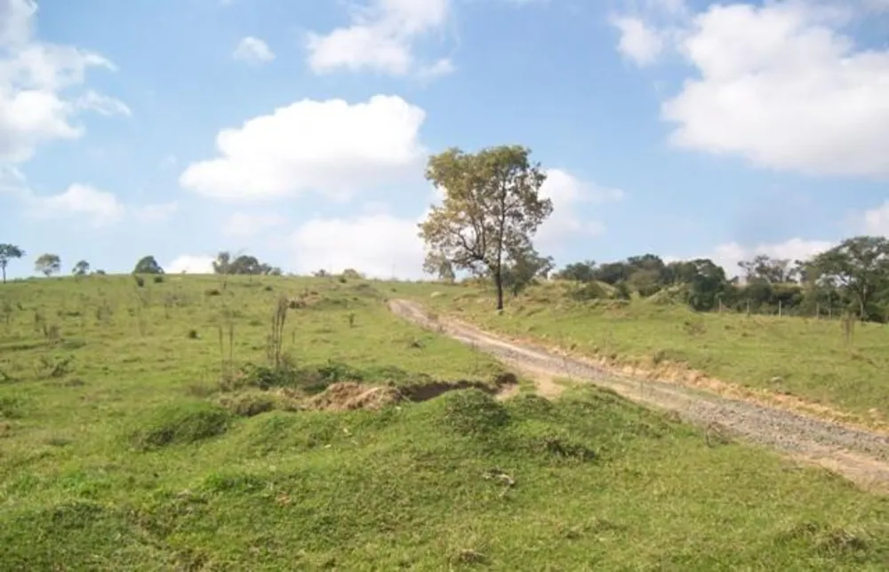 Terreno, 12 hectares - Foto 6